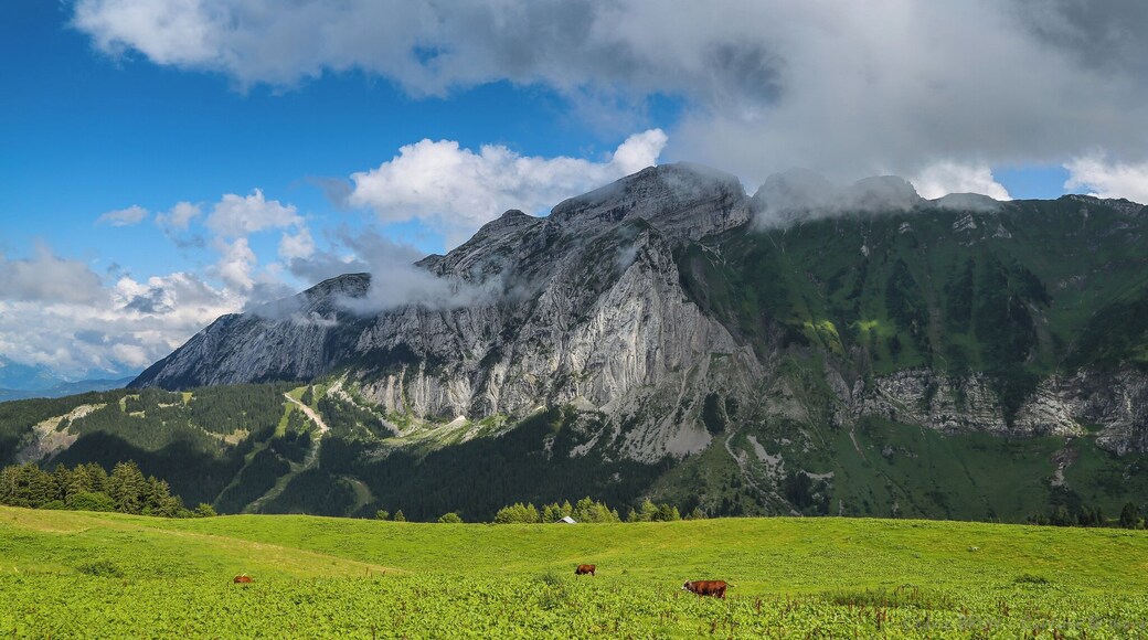 Bargy depuis le COL DE CENISE