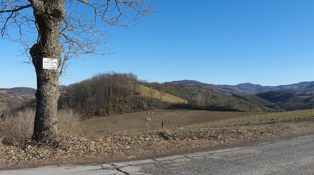 Vista verso l'alta Val Tidone