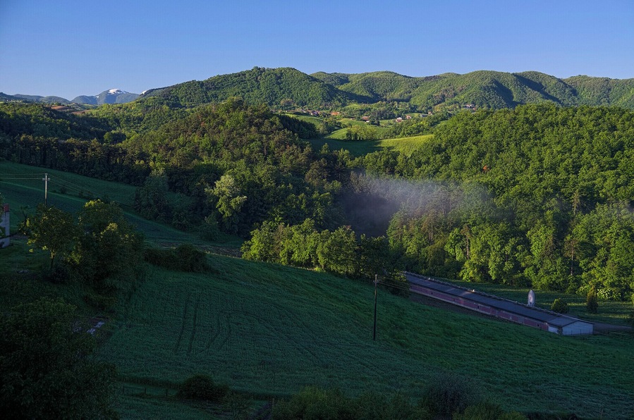 Vista verso Casa Figino