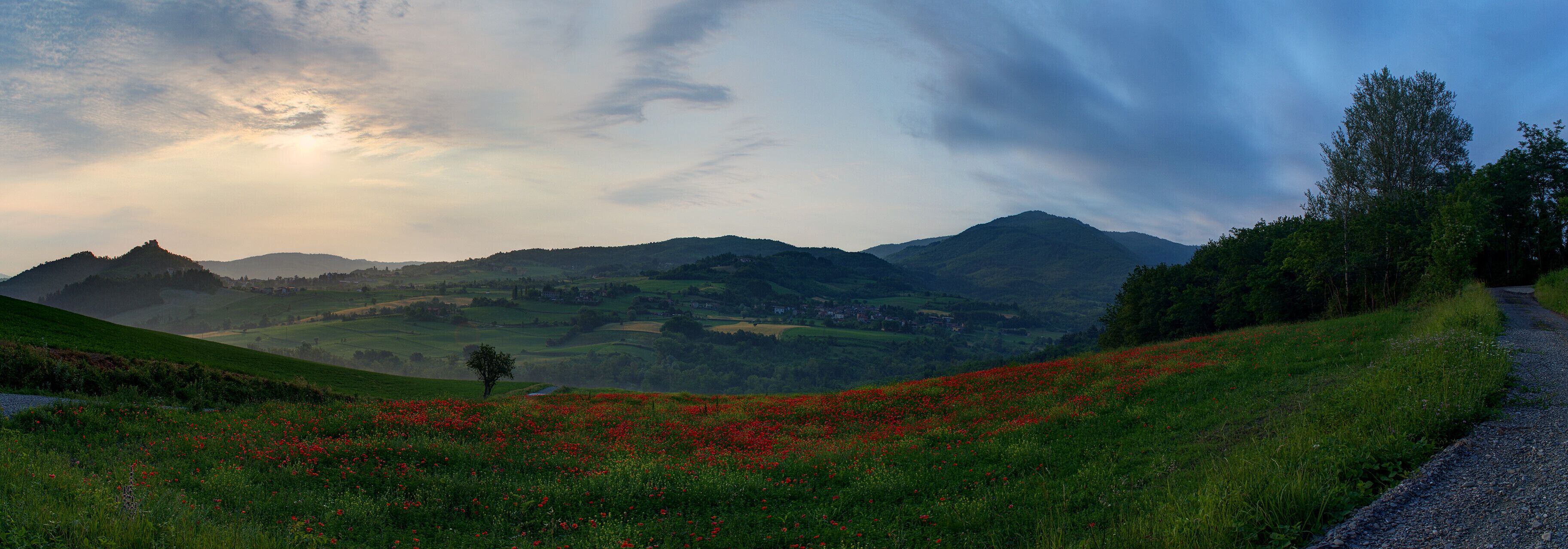 A landscape with rolling hills, a road, and a field of red poppies.