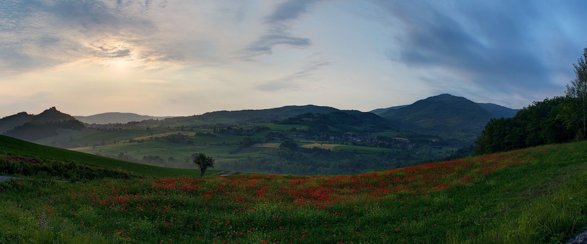 A landscape with rolling hills, a road, and a field of red poppies.