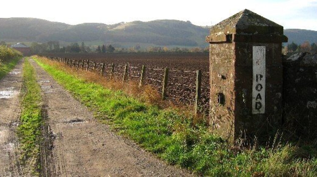 Kilgraston School track. Track leading to the back of Kilgraston School from B935 just outside Bridge of Earn. Westhall Hill in the background.