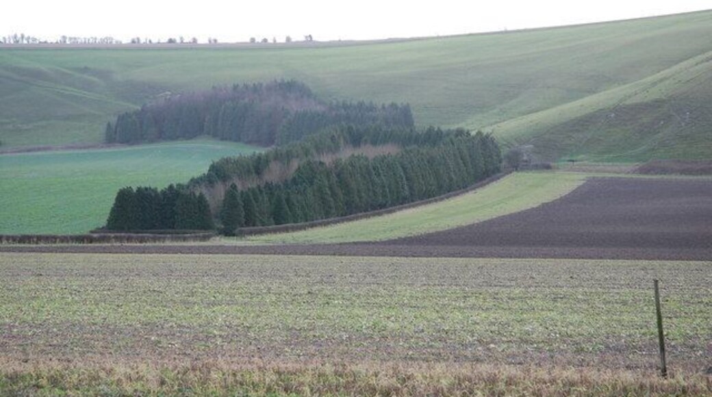 Farmland by Swallowcliffe