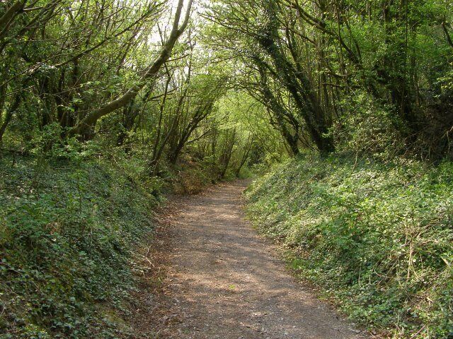Bridleway down Buxbury Hollow This track is a bridleway that leads from Sutton Down to Cribbage Hut on the A30 road. Its route is to the west of Buxbury Hill down Buxbury Hollow.