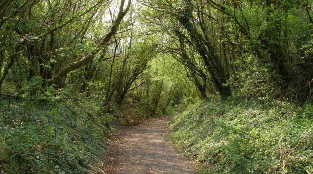 Bridleway down Buxbury Hollow This track is a bridleway that leads from Sutton Down to Cribbage Hut on the A30 road. Its route is to the west of Buxbury Hill down Buxbury Hollow.