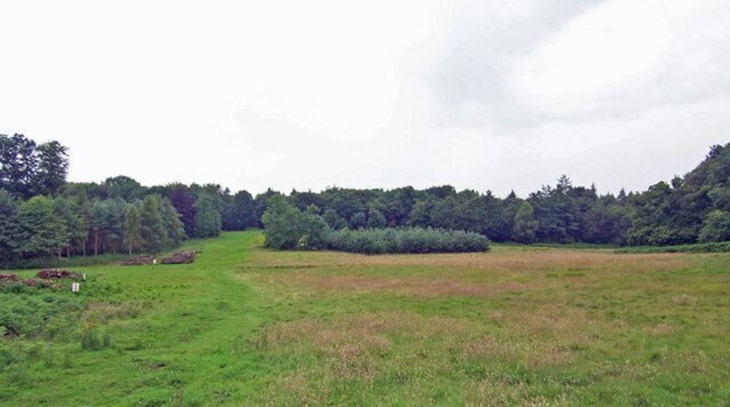 Mausoleum Woods Mausoleum Woods are part of Brocklesby Park.