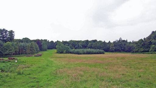 Mausoleum Woods Mausoleum Woods are part of Brocklesby Park.