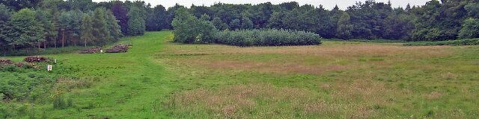 Mausoleum Woods Mausoleum Woods are part of Brocklesby Park.