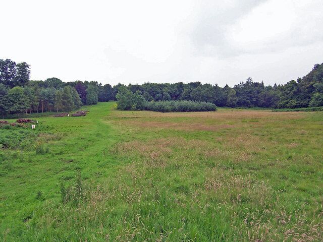 A grassy field with a path leading through it, surrounded by trees.