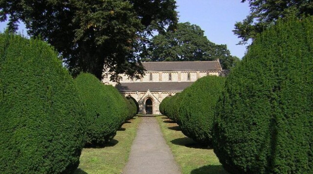 Clipped Yews. A neatly clipped avenue of Yews leads to the south door of St.Hybald's church in Scawby