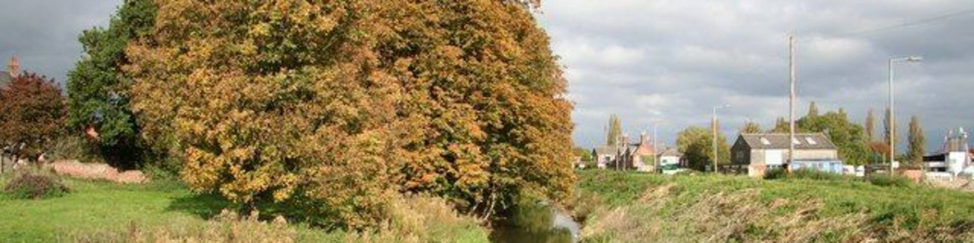 Billinghay Skirth Looking NE from Old Bridge