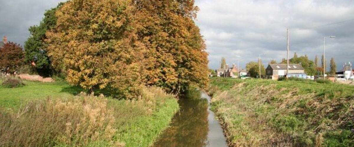 A narrow waterway flanked by grassy banks and a large tree with autumn foliage.