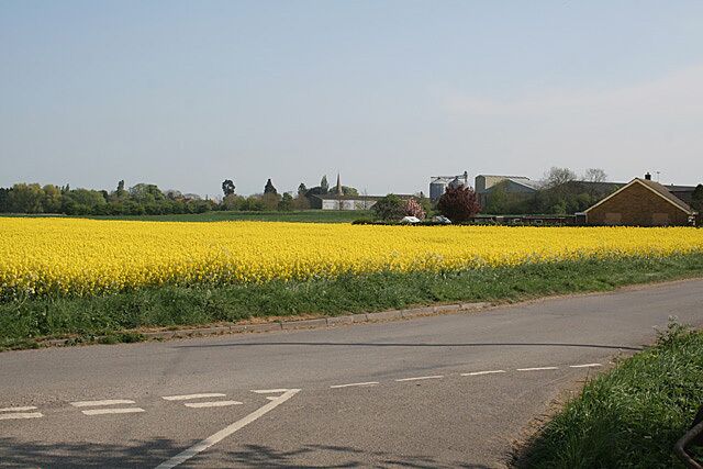 The Carrs, Billinghay Looking across the Carrs to the village itself