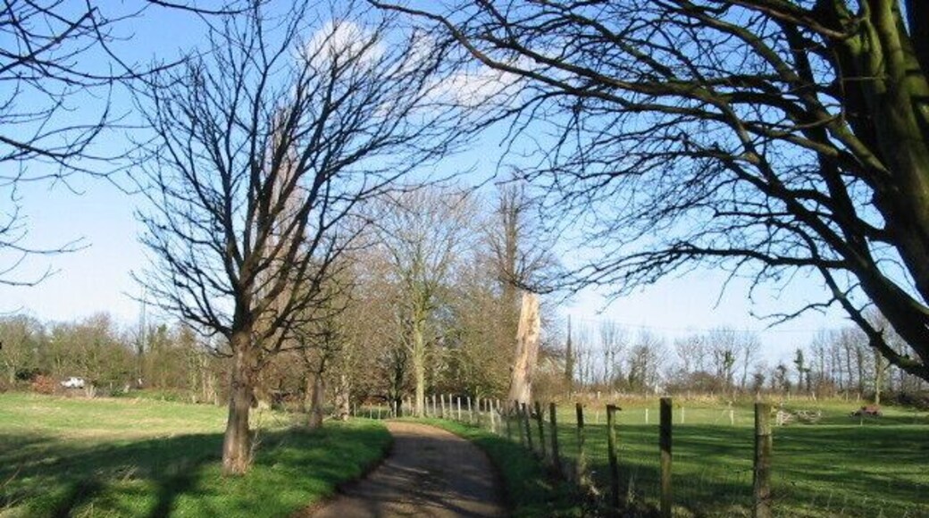 Looking N on track from Lee Priory.