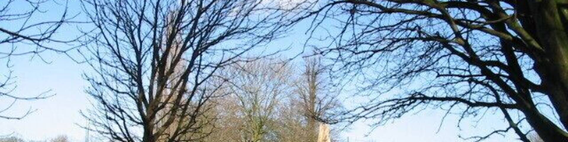 Looking N on track from Lee Priory.