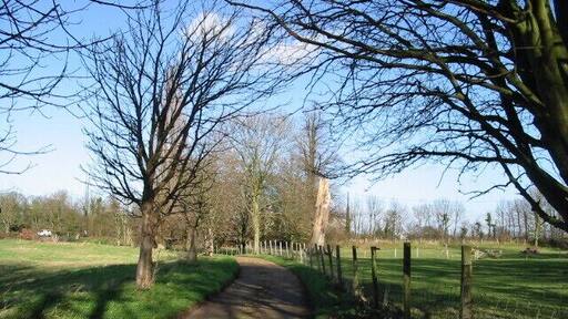 Looking N on track from Lee Priory.