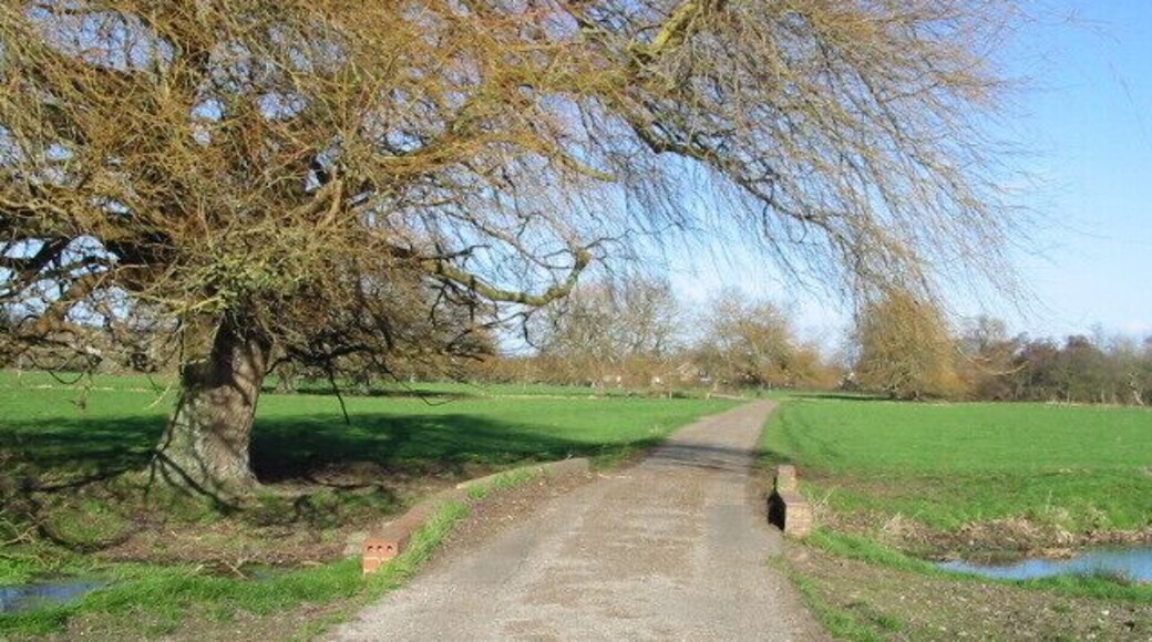 Small bridge over a stream, Garrington.
