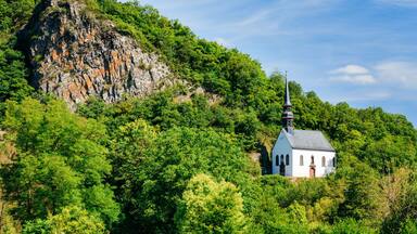 A white church with a steeple on a hill surrounded by lush green trees.