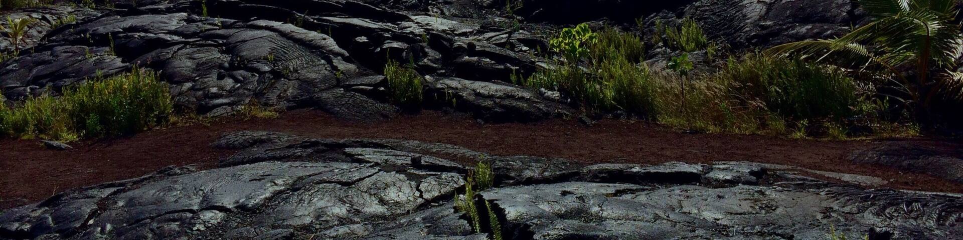 Kaimu beach park. Land which is younger than me.