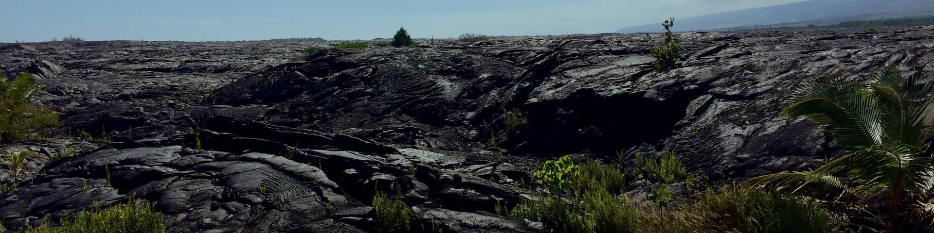 Kaimu beach park. Land which is younger than me.