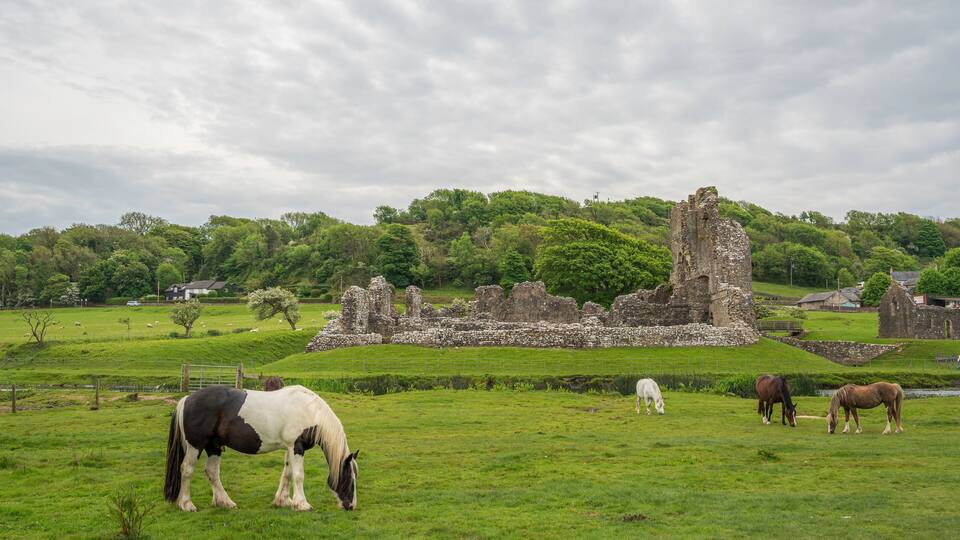 A grassy field with horses grazing, a stone ruin, and a forested hill in the background.