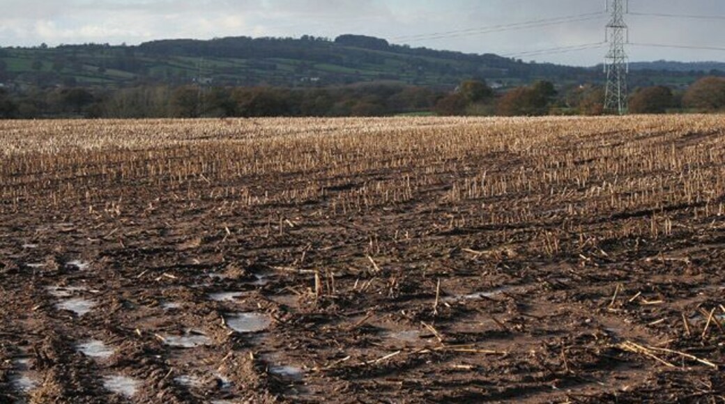 Willand: west towards Ash Thomas. Farmland near Bagster Farm and the Lloyd Maunder abattoir