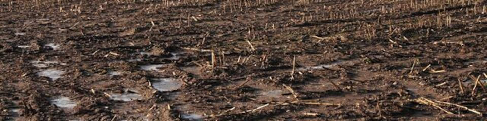 Willand: west towards Ash Thomas. Farmland near Bagster Farm and the Lloyd Maunder abattoir