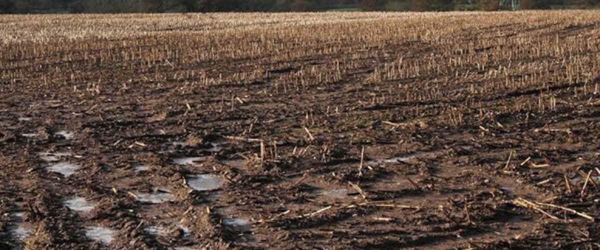 A muddy field with puddles, a power line tower, and rolling hills in the background.