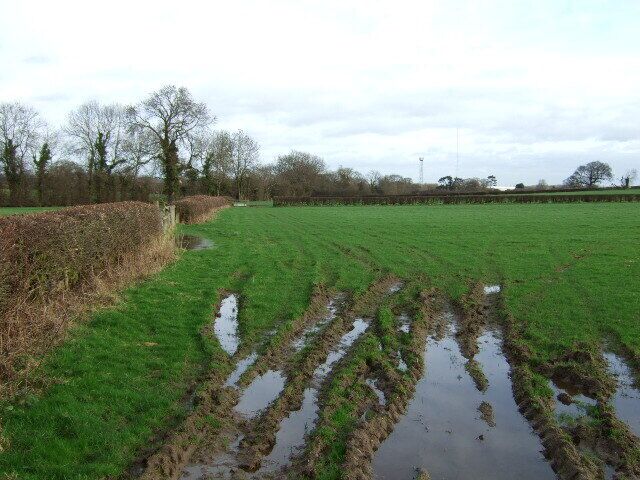 Wet field Looking towards the brook.
