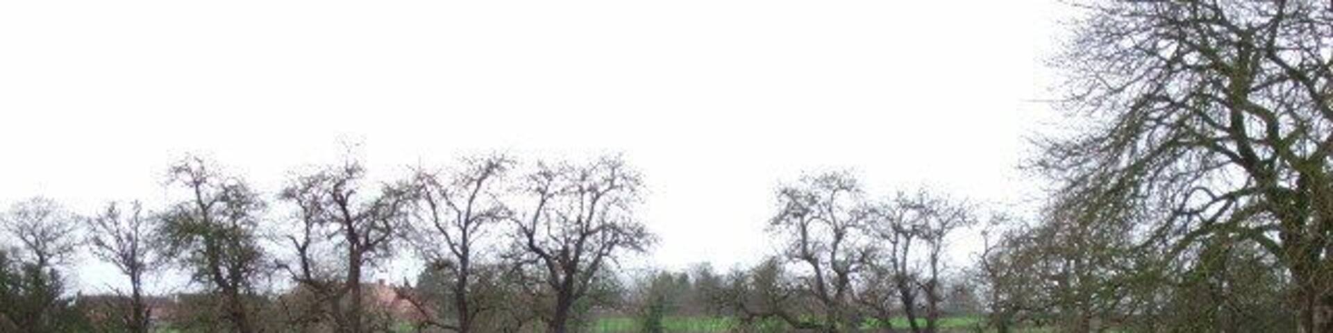Farmland opposite Green Bank Farm Looking fromnear Green Bank up towards Sandypits.