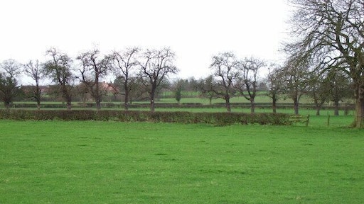 Farmland opposite Green Bank Farm Looking fromnear Green Bank up towards Sandypits.