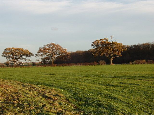 Field and Rolts Wood, Upwood Photo from road opposite Farm Close