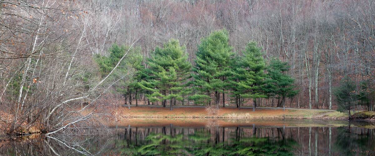 Winter by lake in park in Monroe, Connecticut.