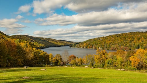 نيو فيرفيلد