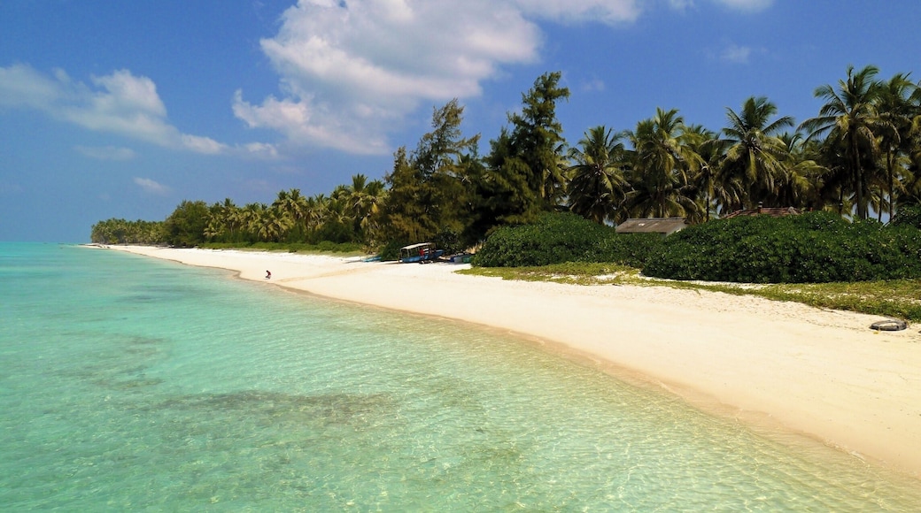 The problem with the Maldives is there are too many people and it's too easy to get there. A few hundred kilometres to the north are the Laccadives, which are much harder to get to, so you can spend christmas on a beach like this and ask your girlfriend to marry you...... #Golden