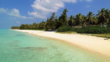 Kadmat