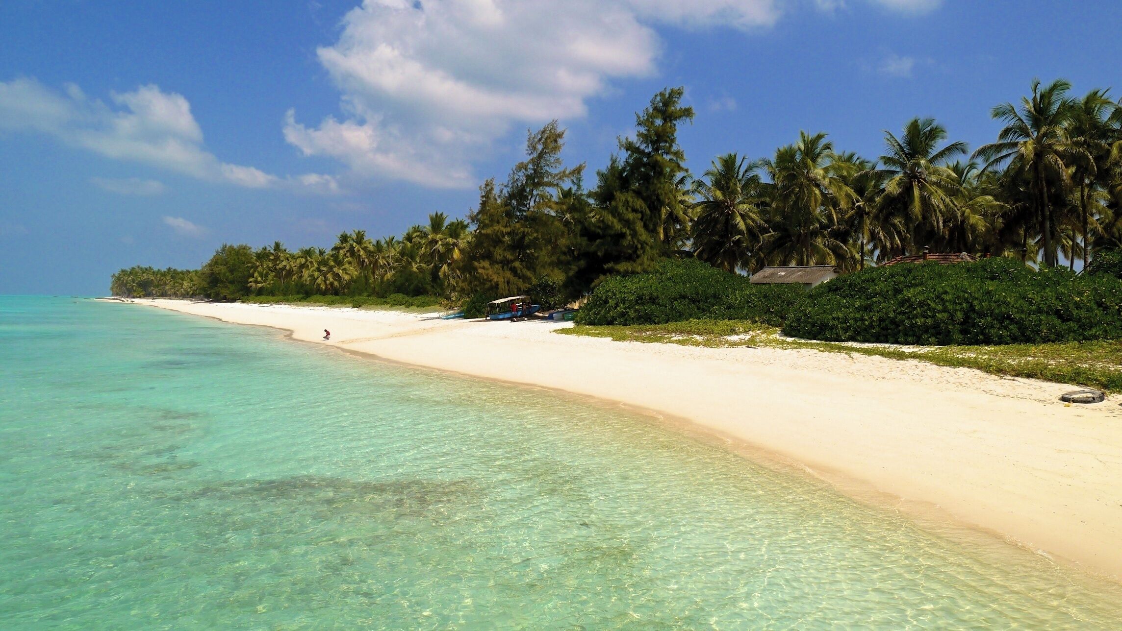 A beach with clear turquoise water, white sand, and palm trees.