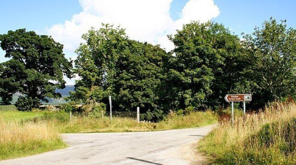 Skelbo Forest Walks.