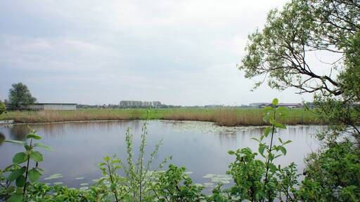 Niedersachsen, Wesermarsch, Ritzenbuetteler Brake, LSG BRA 00008