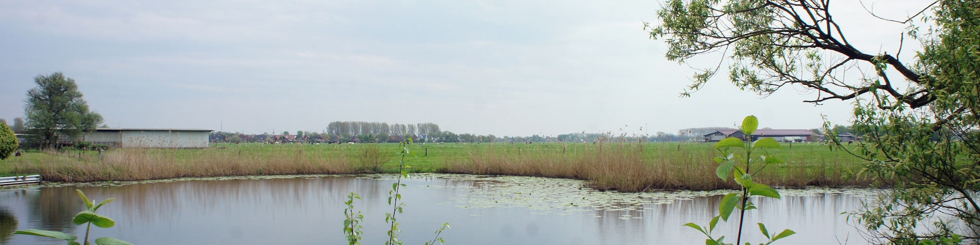 Niedersachsen, Wesermarsch, Ritzenbuetteler Brake, LSG BRA 00008