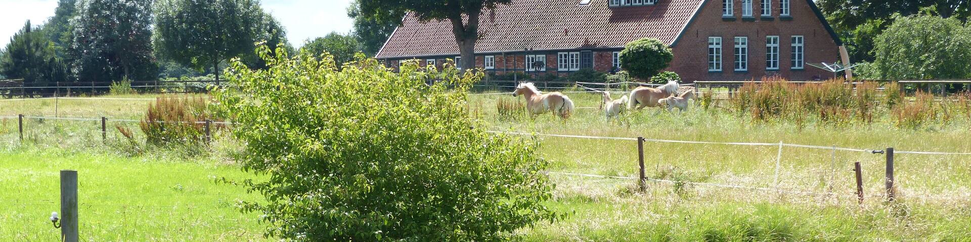 Bauernhaus an der Ollen