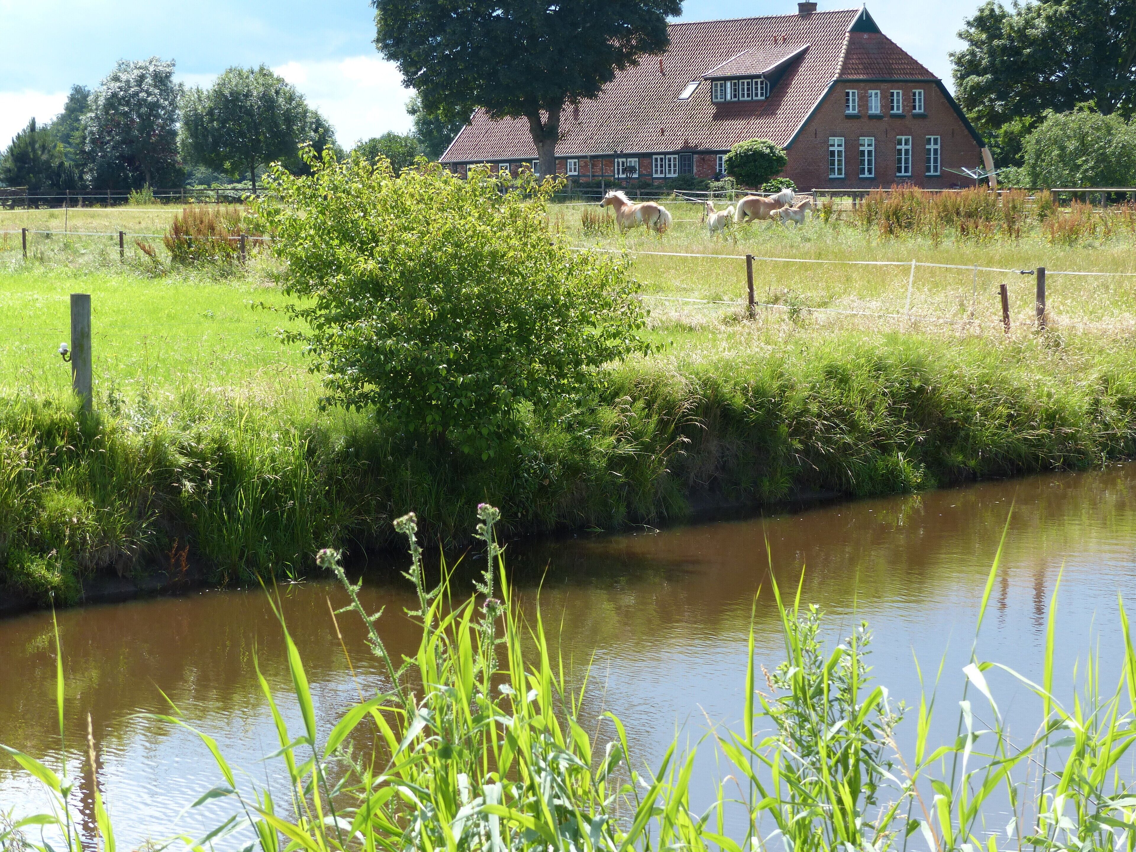 A rural landscape with a river, a wooden fence, and a red-roofed house in the background.