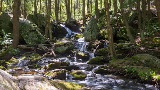 Upper tier of Buttermilk Falls