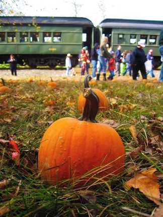 A short, old fashioned train ride near Thomaston, CT. Activities for kids, like this pumpkin patch.