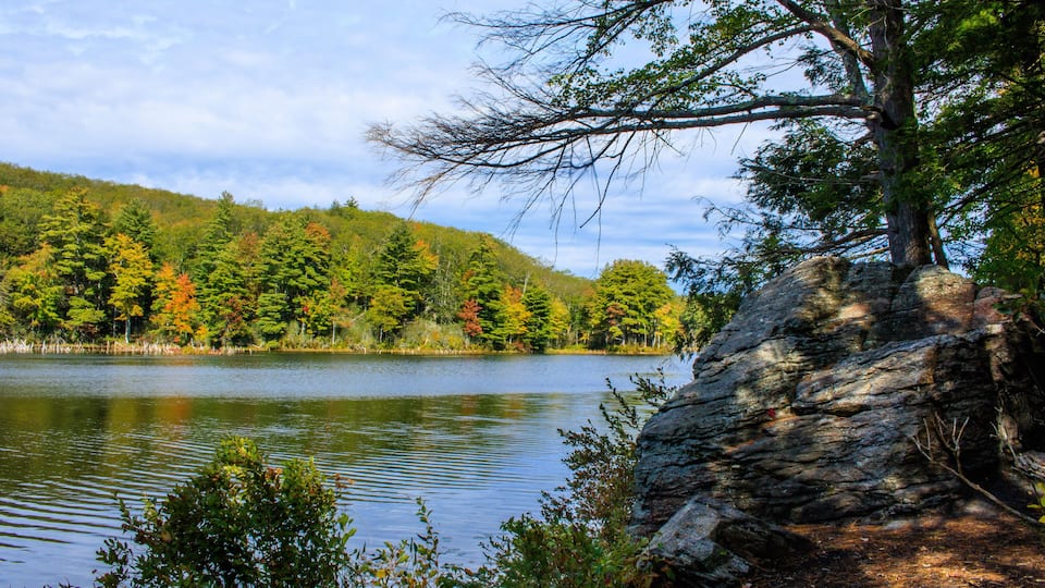 A lake surrounded by trees with autumn foliage, a rocky shoreline, and a clear sky.