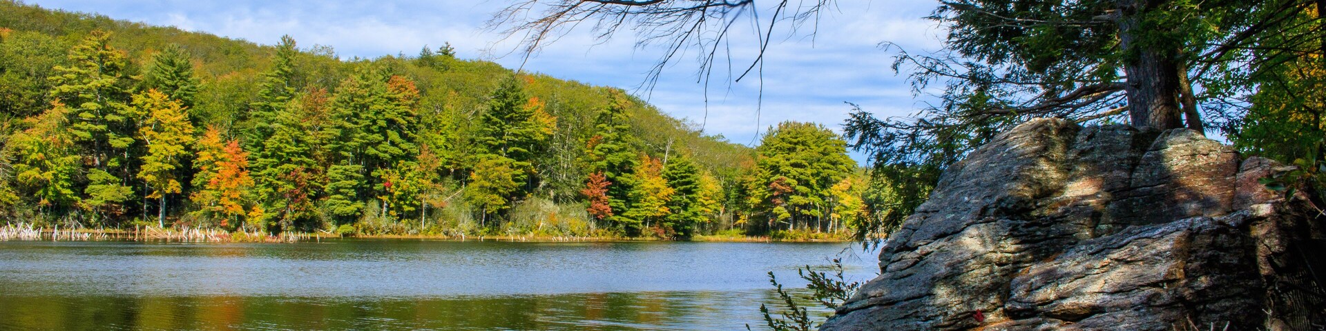 Un lago rodeado de árboles con follaje otoñal, una orilla rocosa y un cielo despejado.