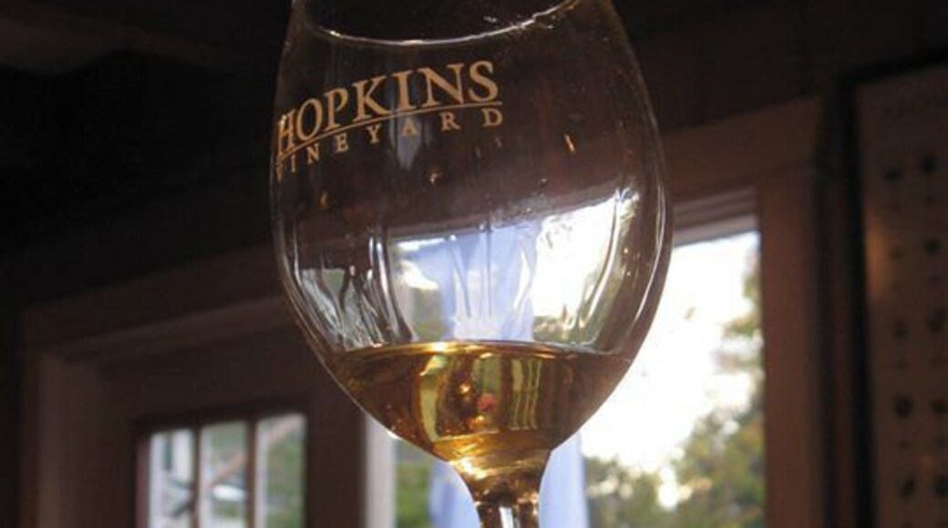 Out of the two wineries in the area, we preferred Hopkins Vineyard.