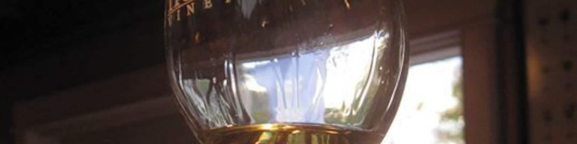 Out of the two wineries in the area, we preferred Hopkins Vineyard.