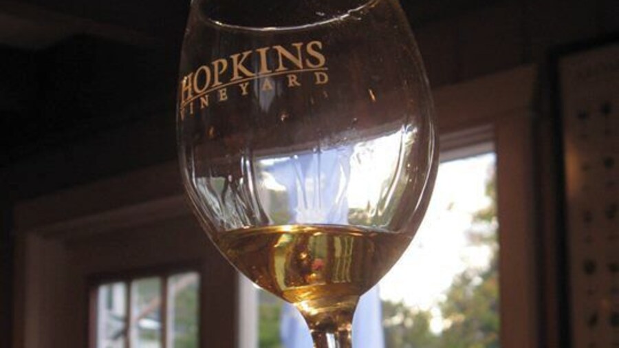 Out of the two wineries in the area, we preferred Hopkins Vineyard.