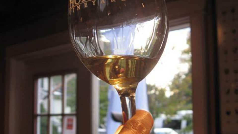 A hand holding a wine glass with the label "Hopkins Vineyard" in a dimly lit room with windows and a door in the background.